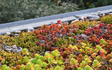 the cost of Field Head green roof installation