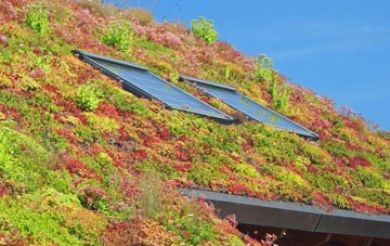 Field Head living roof systems