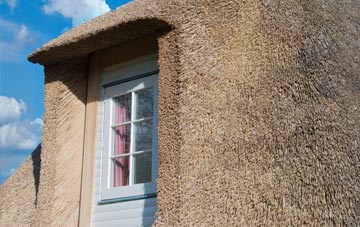 Field Head thatch roof disadvantages